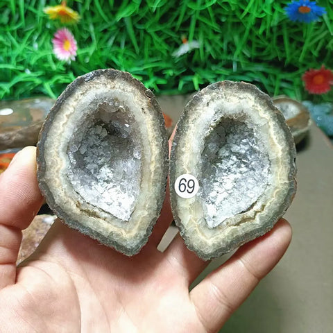 Mixed Agate Quartz Geodes-ToShay.org