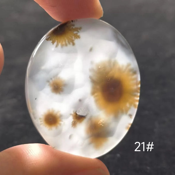 White Onyx Ocean Chalcedony-ToShay.org