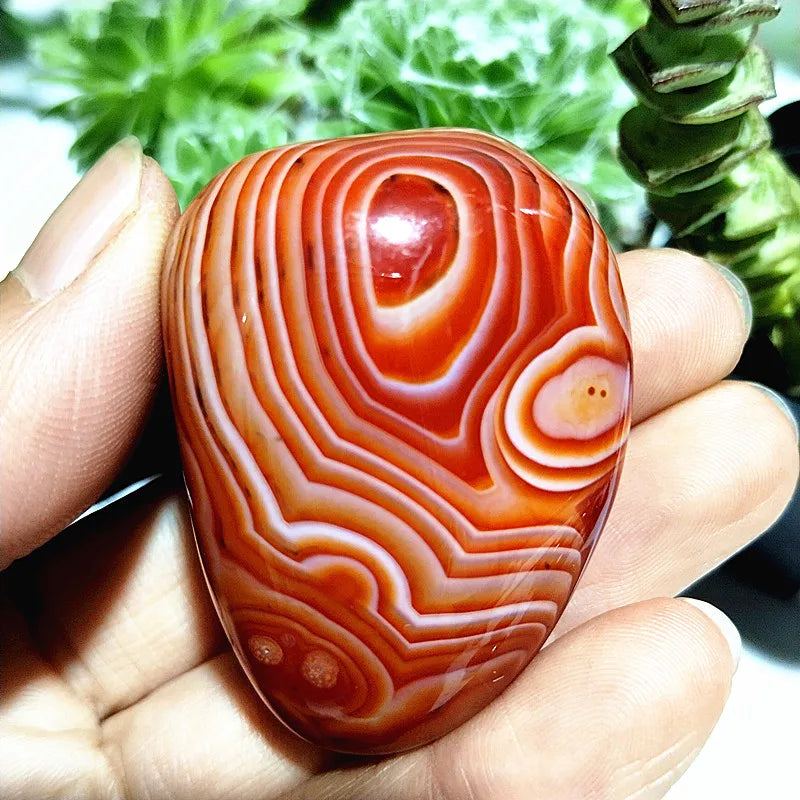 Red Flower Agate Palm Stone-ToShay.org