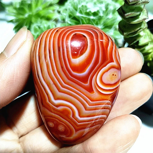 Red Flower Agate Palm Stone-ToShay.org