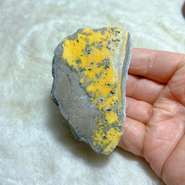 Yellow Bumblebee Slab-ToShay.org