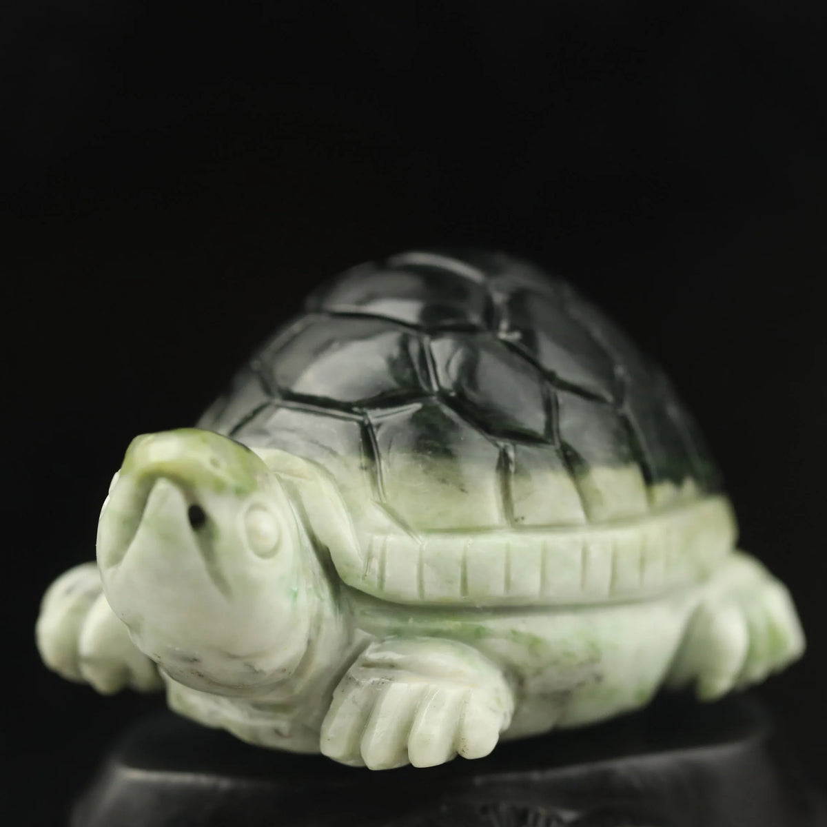 Green Jade Turtle-ToShay.org