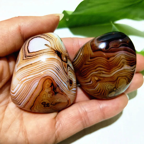 Red Lace Sardonyx Palm Stones-ToShay.org