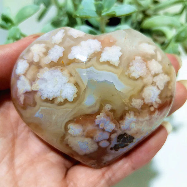 Pink Cherry Blossom Agate-ToShay.org