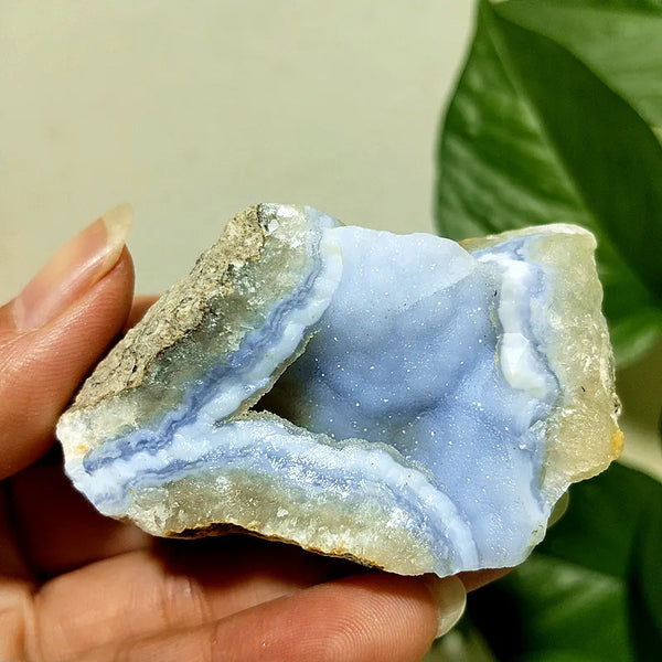 Blue Chalcedony Agate-ToShay.org