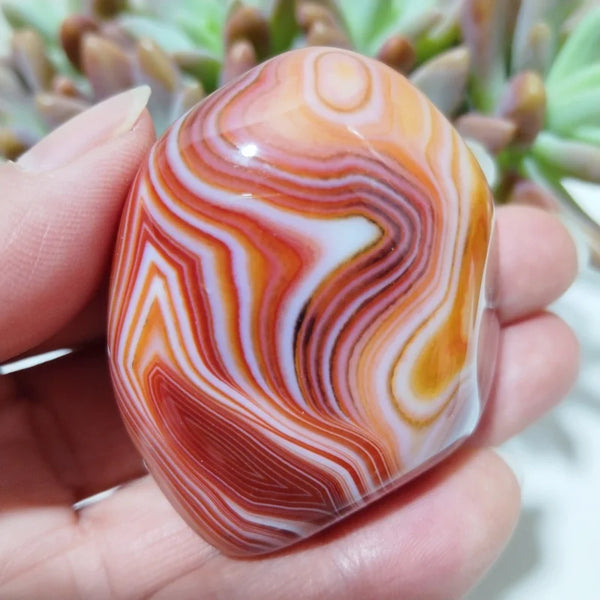 Red Sardonyx Lace Agate-ToShay.org