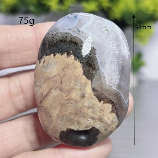 Fire Agate Palm Stone-ToShay.org