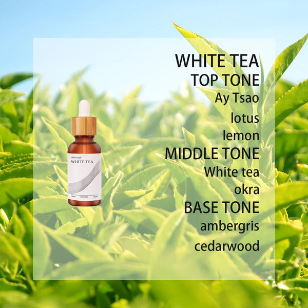 Mixed Essential Oils-ToShay.org