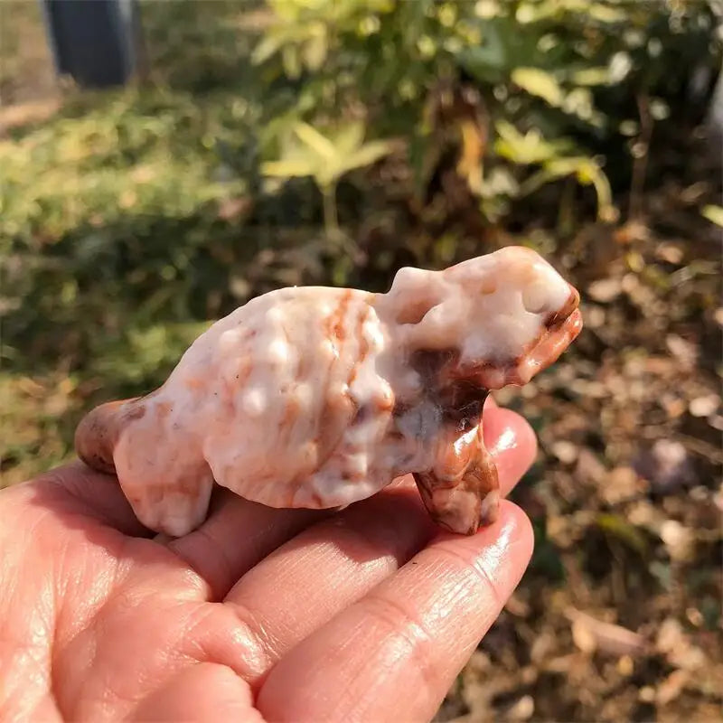 Mixed Crystal Lizards-ToShay.org