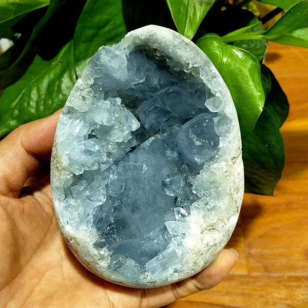 Blue Celestine Geode Crystal-ToShay.org