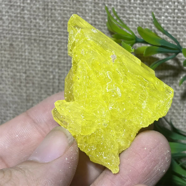 Yellow Sulphur Quartz-ToShay.org