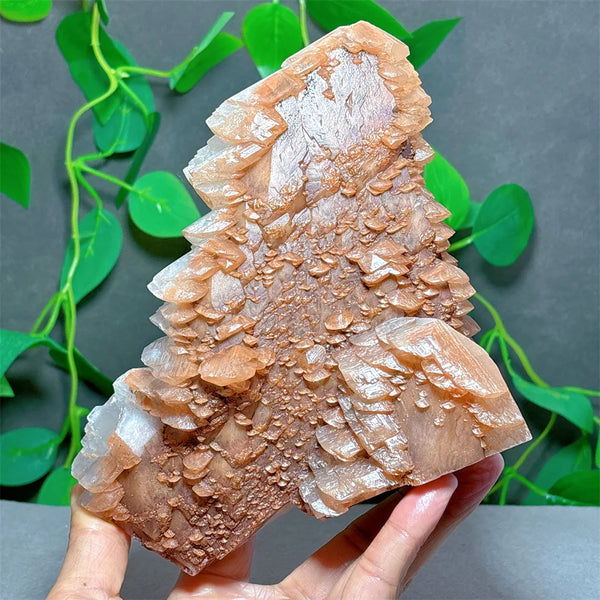 White Melaleuca Calcite Quartz-ToShay.org