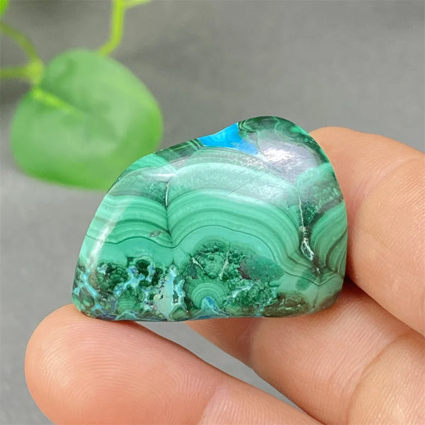Green Malachite Tumbled Stone-ToShay.org