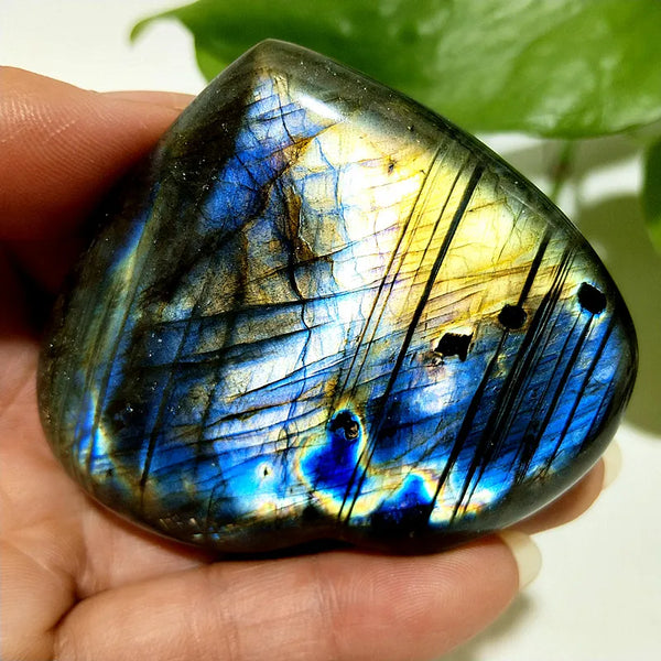 Blue Labrador Stone Heart-ToShay.org