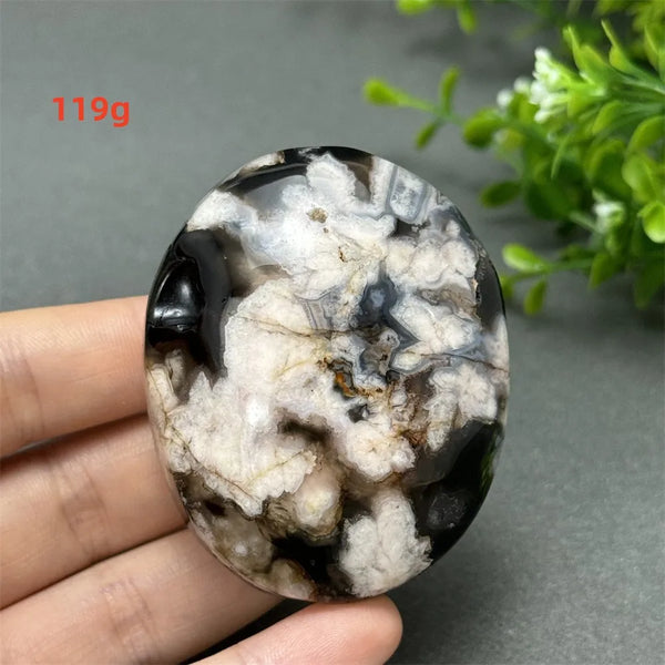 Black Cherry Blossom Agate-ToShay.org