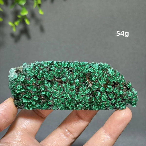 Green Malachite Slice-ToShay.org