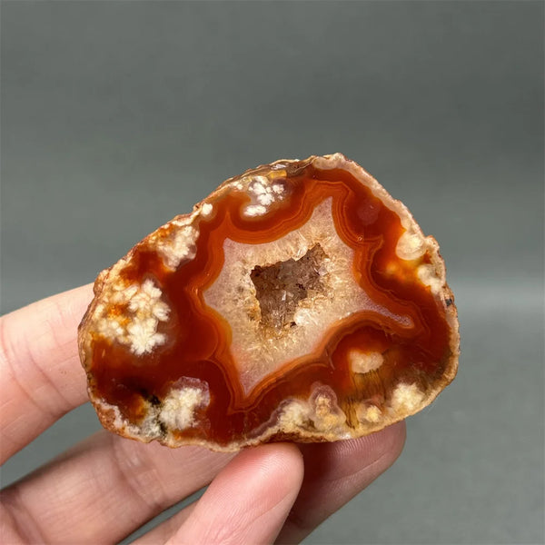 Red Cherry Blossom Agate-ToShay.org