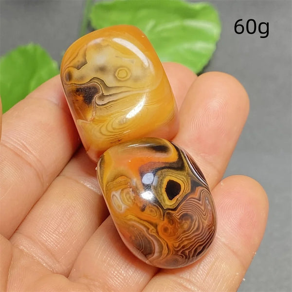 Orange Silk Lace Agate-ToShay.org