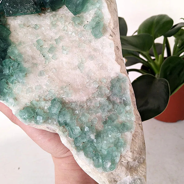 Green Fluorite Crystal Flower-ToShay.org
