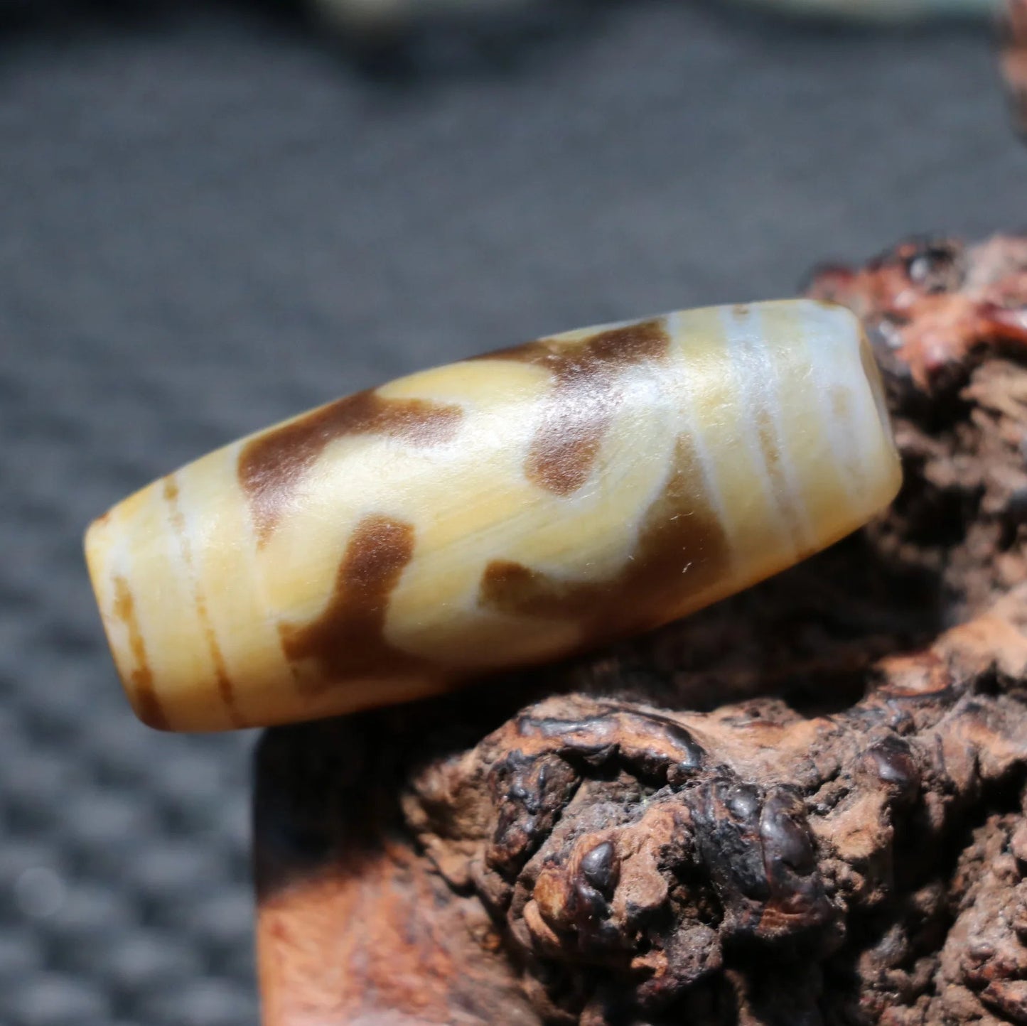 Tibetan Agate Eyes Dzi-ToShay.org