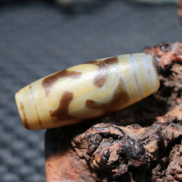 Tibetan Agate Eyes Dzi-ToShay.org