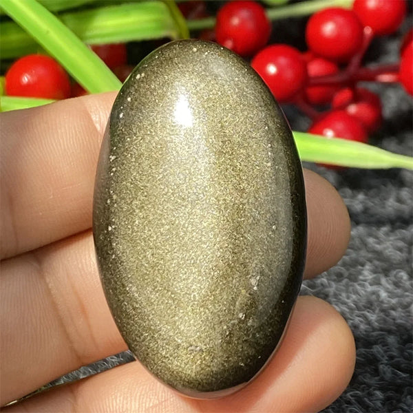 Silver Black Obsidian-ToShay.org