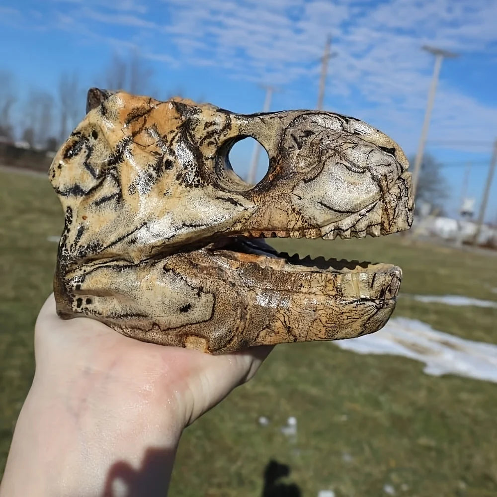 Yellow Picture Stone Dinosaur Skull-ToShay.org