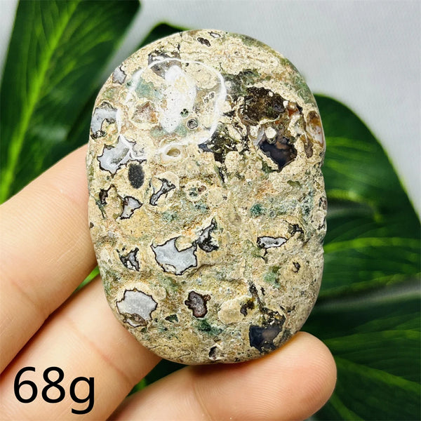 Australian Natural Opal Agate Stone Palmstone Raw Mineral Specimens Home Room Decoration Holiday Gifts Spiritual Healing-ToShay.org