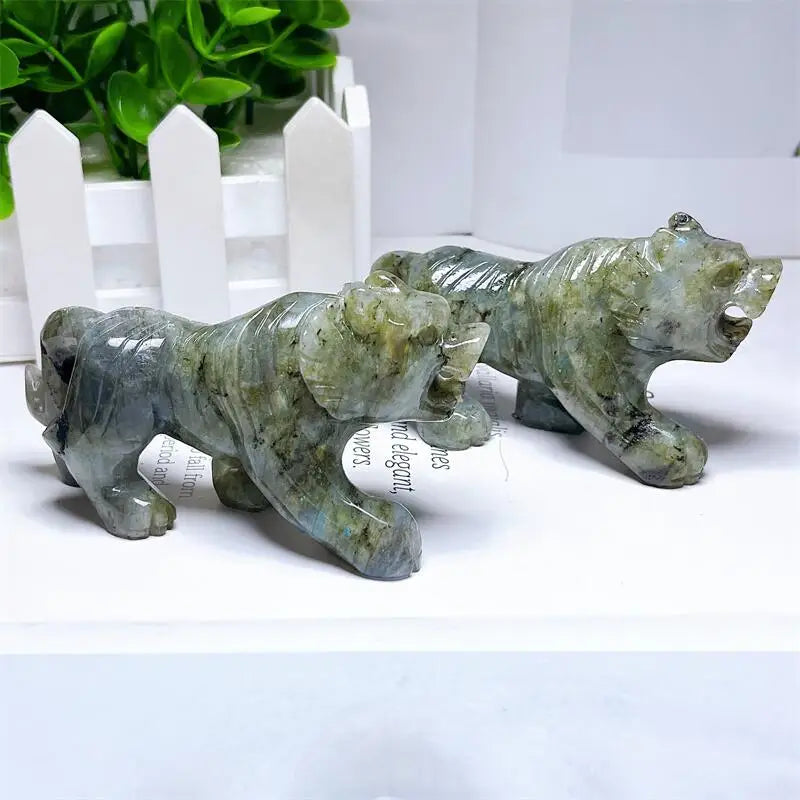 Blue Labradorite Tiger-ToShay.org