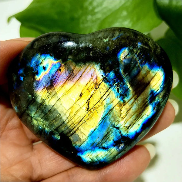 Blue Labrador Stone Heart-ToShay.org