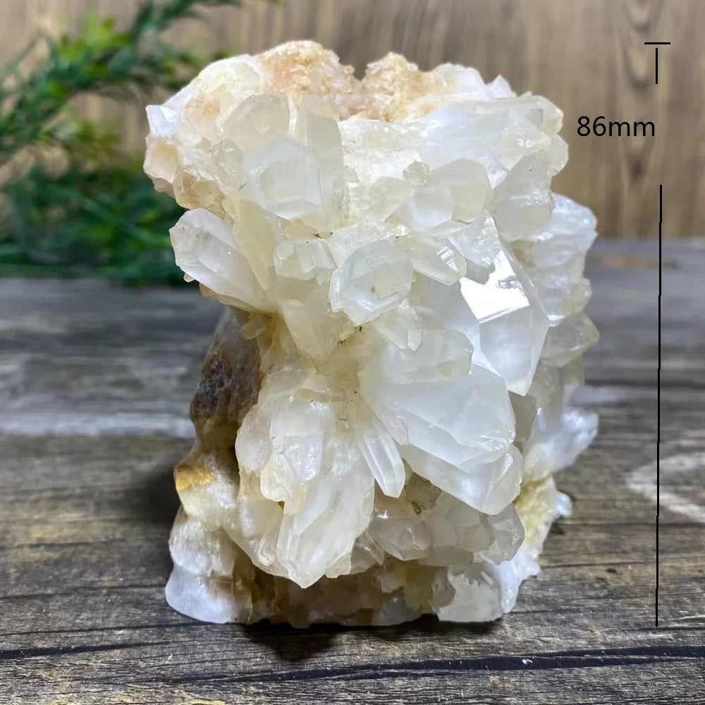 Clear Quartz Cluster Skull-ToShay.org