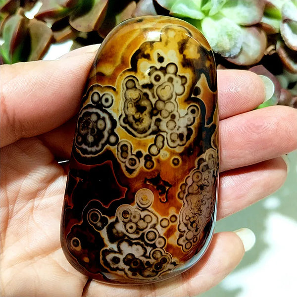 Red Lace Sardonyx Agate-ToShay.org
