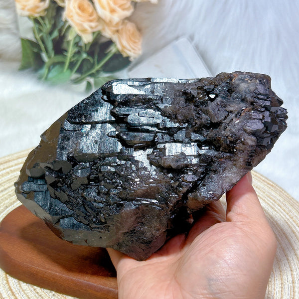 Black Quartz Skeletal Cluster-ToShay.org