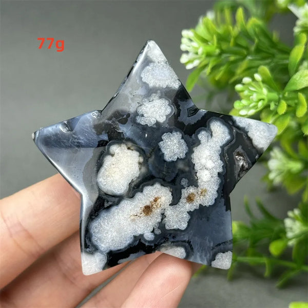 Black Cherry Blossom Agate-ToShay.org