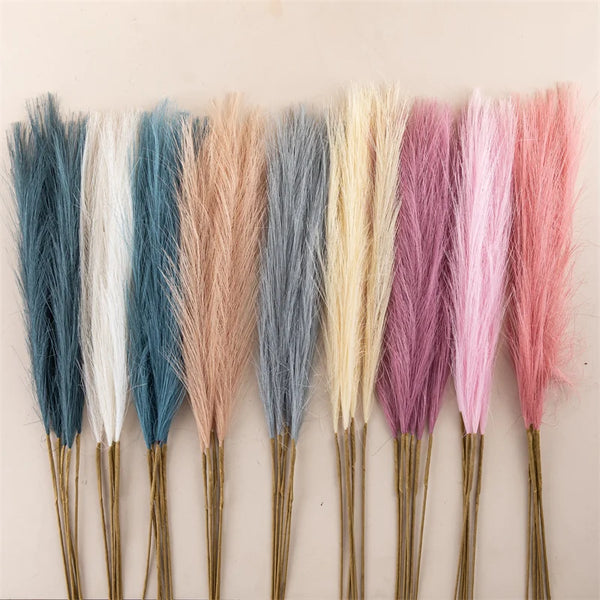 Pampas Grass-ToShay.org