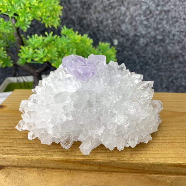 White Crystal Quartz-ToShay.org