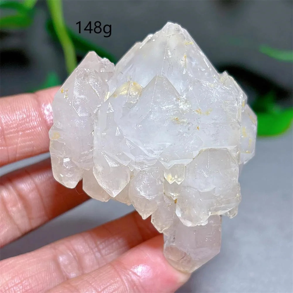 Clear Lotus Backbone Quartz Cluster-ToShay.org