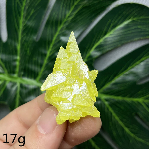Yellow Sulfur Clusters-ToShay.org