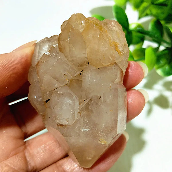 Yellow Mud Sparkling Clusters-ToShay.org