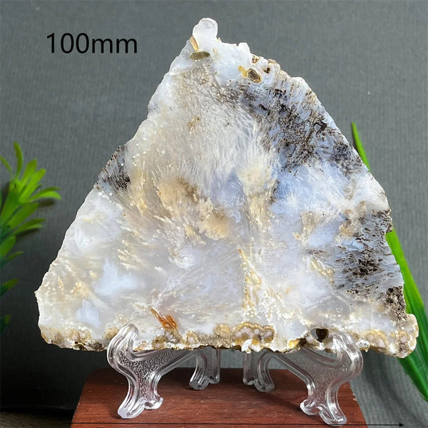 Yellow Hair Agate Slab-ToShay.org