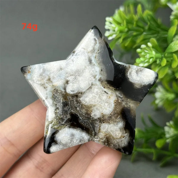 Black Cherry Blossom Agate-ToShay.org