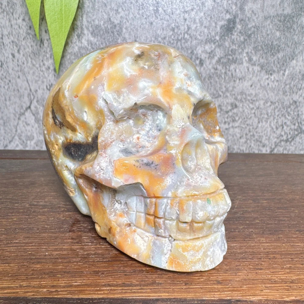 Grey Amzonite Skull-ToShay.org