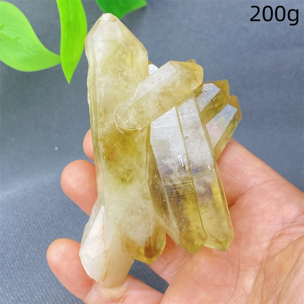 Yellow Black Smoky Quartz-ToShay.org