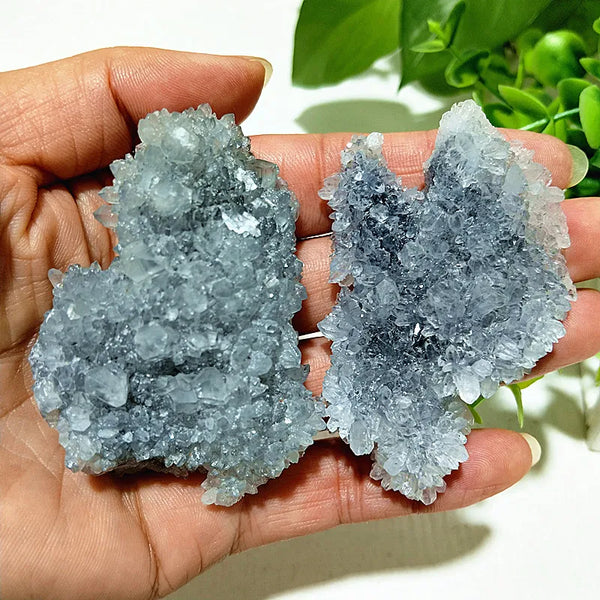 Blue Chrysanthemum Fluorite Cluster-ToShay.org