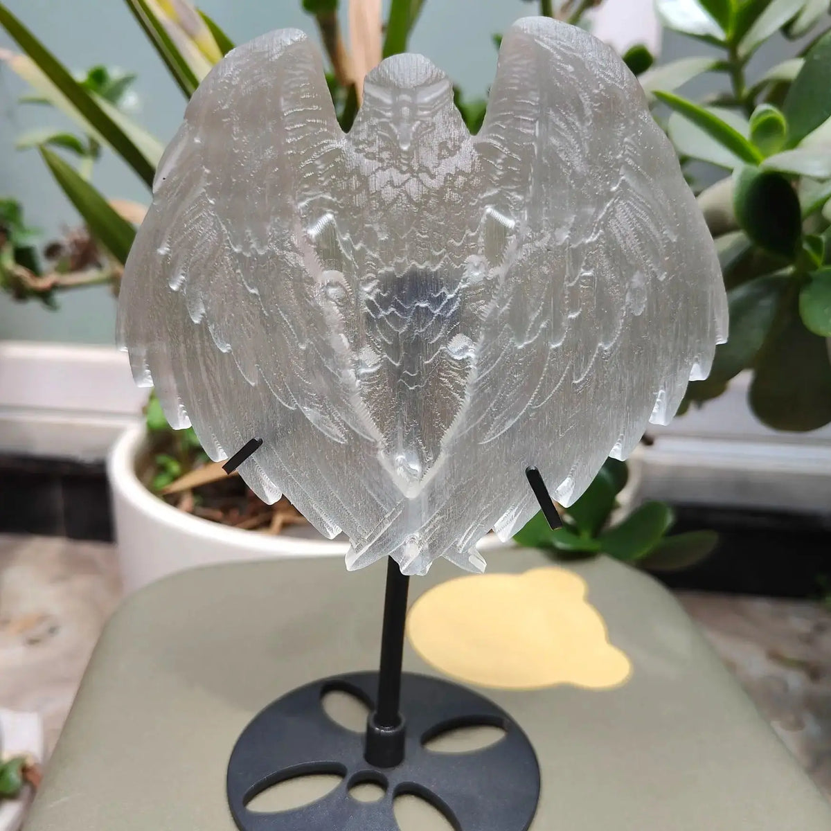 White Selenite Eagle-ToShay.org
