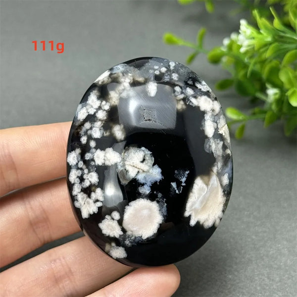 Black Cherry Blossom Agate-ToShay.org