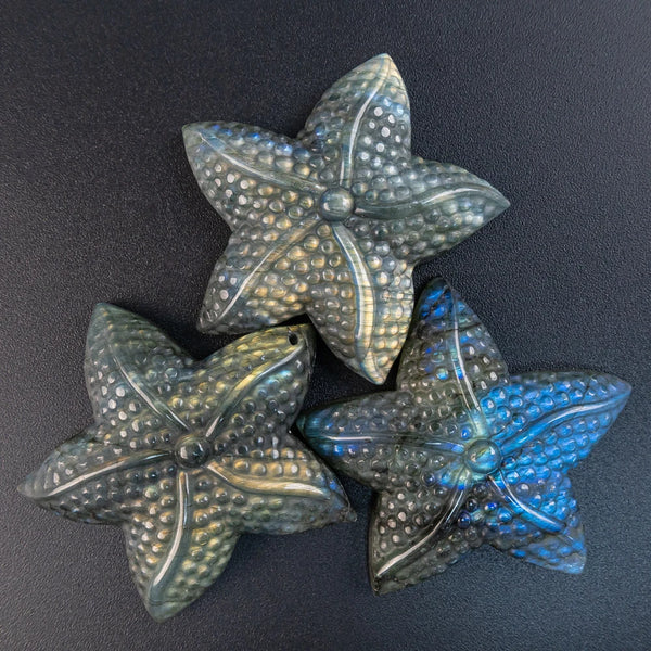 Blue Flash Labradorite Starfish-ToShay.org