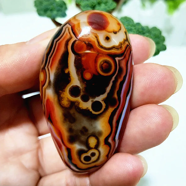 Red Lace Sardonyx Agate-ToShay.org