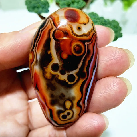 Red Lace Sardonyx Agate-ToShay.org