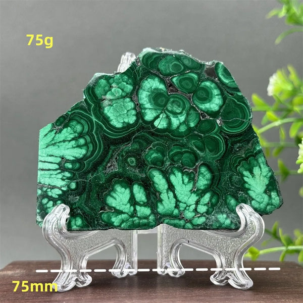 Green Malachite Slice-ToShay.org